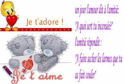 l'amour et l'amitier